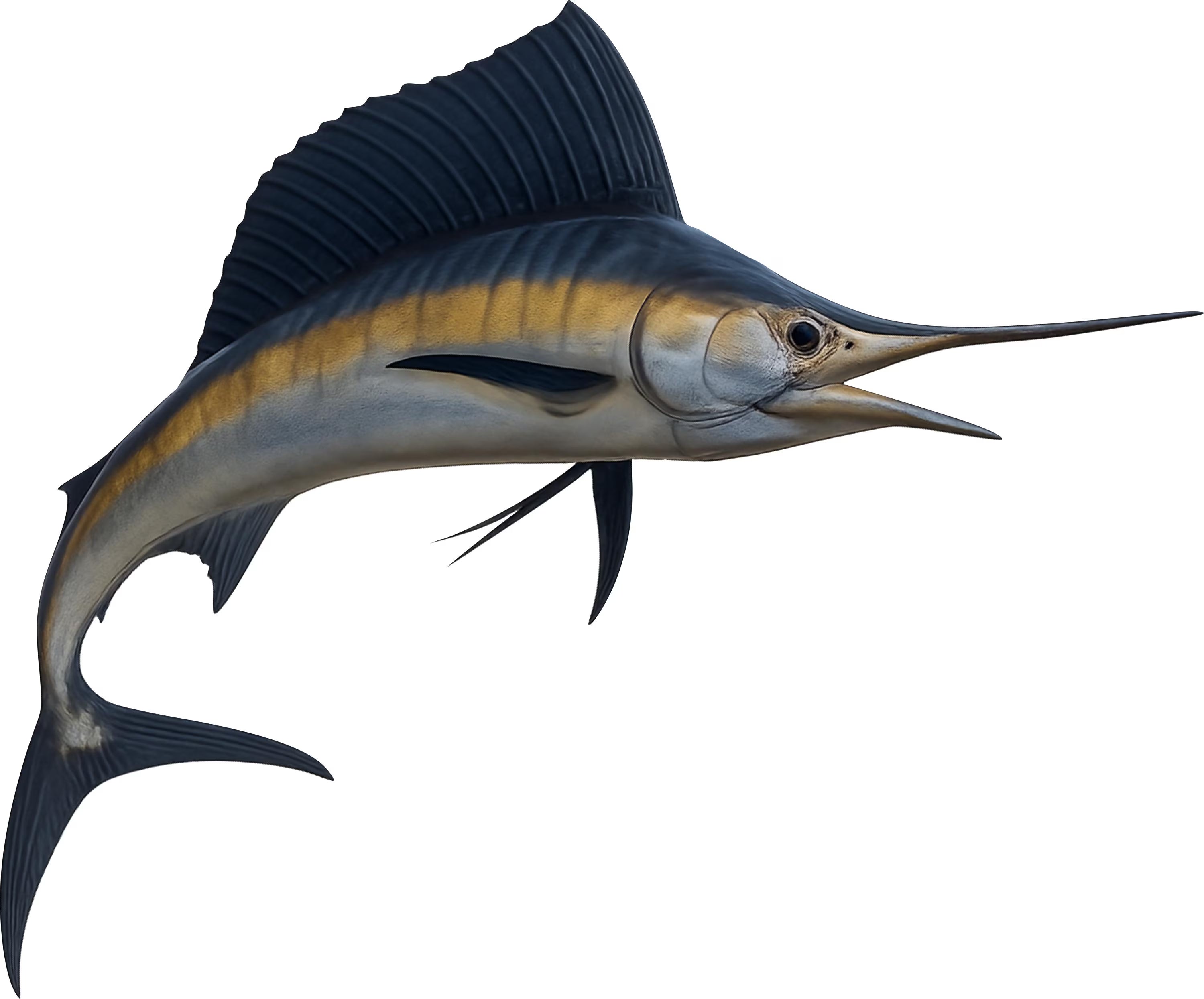 Sail fish printed  Metal Sign Exterior or Interior